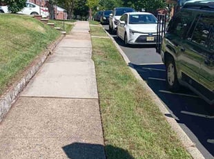 Jonathan B.'s Lawn Care service result