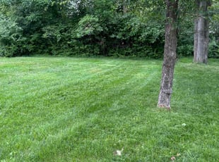 Ronald W.'s Lawn Service service result