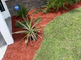 Mulching by Arthur Grant for Alex K. in Port St. Lucie, FL