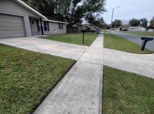 Ben t.'s Lawn Mowing service result
