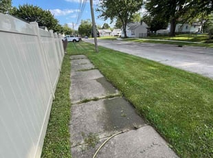 Flo F.'s Lawn Mowing service result