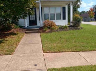 Anna B.'s Yard Cutting service result