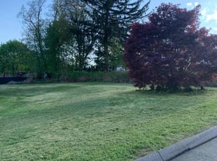 John H.'s Lawn Mowing service result