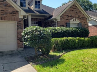 Bush Trimming by Ricardo Pedraza for Maxnie T. in Houston, TX
