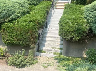 Bush Trimming by Richard Luiza Jr for Maureen O. in Seattle, WA