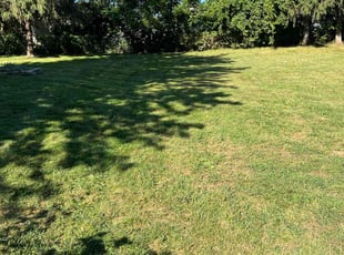 Brian E.'s Lawn Service service result
