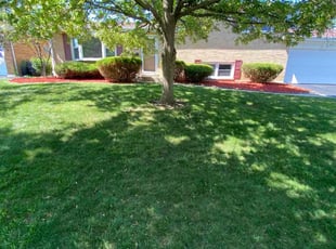 Mulching by Cesar Flores for Nick H. in Downers Grove, IL