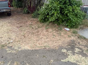 Cleanups by Angel Mata for Myvan N. in Lemon Grove, CA