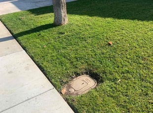 Torea B.'s Lawn Service service result