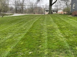 James B.'s Lawn Mowing Service service result