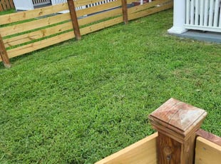 Katelyn B.'s Lawn Mowing Service service result