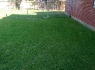 Bob P.'s Yard Cutting service result