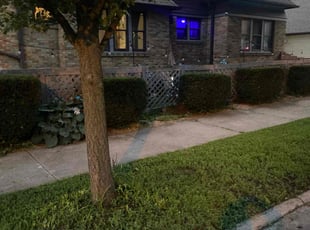 Bush Trimming by Emmanuel Trejo Bautista for B Great Investments L. in Milwaukee, WI