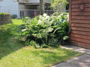 June W.'s Lawn Care service result