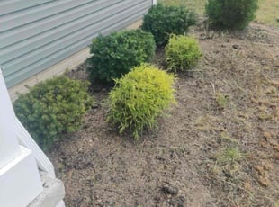 Bush Trimming by Ashley Medina for Shy G. in Massillon, OH