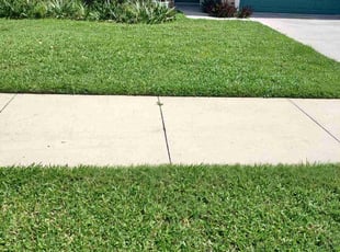 Clyde M.'s Lawn Care service result