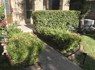 Sherrie C.'s Lawn Care service result