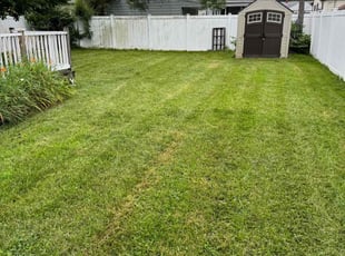 Jerome T.'s Yard Cutting service result