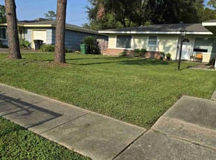 Doreen W.'s Lawn Service service result