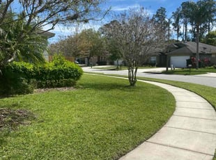 Peter S.'s Lawn Mowing Service service result