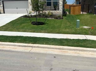 Gail M.'s Lawn Service service result