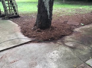Leaf Removal by Kerly Alce for Diana M. in Leesburg, FL