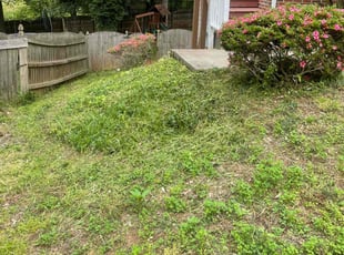 Weeding by Francisco Sanchez-Garcia for Sandra N. in Cary, NC