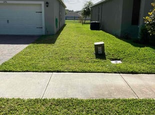 Alba P.'s Lawn Maintenance service result