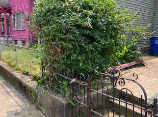 Bush Trimming by Tonio Dewitt for Naufahu P. in Hamilton, OH