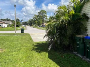Cindy B.'s Yard Cutting service result