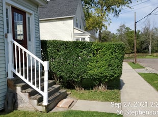 Bush Trimming by Ronald Burton for Lynne B. in West Seneca, NY