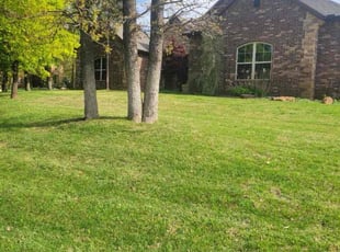 Paige L.'s Lawn Maintenance service result