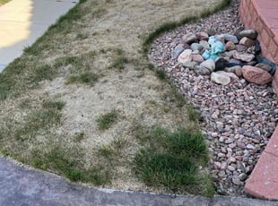 Cleanups by Brennen Spratte for Carrie P. in Colorado Springs, CO