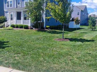Karen M.'s Grass Cutting service result