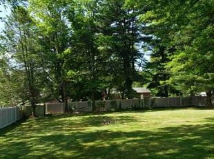 Monica B.'s Yard Cutting service result
