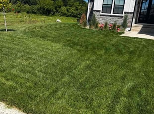 Stacy M.'s Lawn Service service result