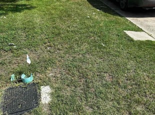 Cleanups by Spencer Reed for Melissa D. in Round Rock, TX