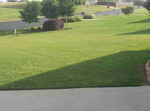 Elizabeth H.'s Lawn Mowing service result