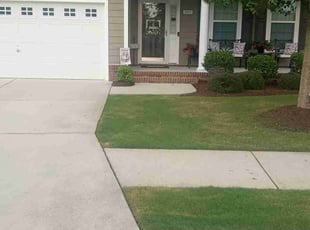 Haibibe V.'s Lawn Mowing service result