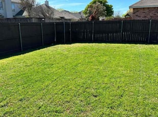 April S.'s Lawn Mowing service result