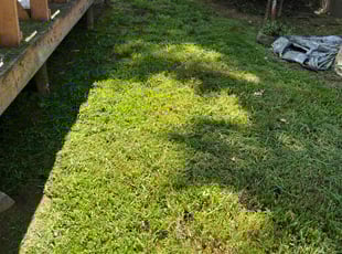 Tim M.'s Lawn Service service result