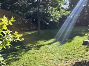 Robert T.'s Lawn Maintenance service result