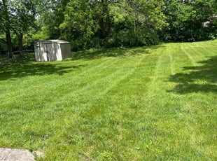 Kyla E.'s Yard Cutting service result