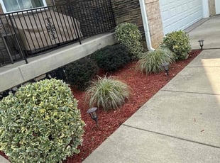 Bush Trimming by Carlos Portillo for Taha A. in Springfield, VA