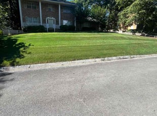 Janera F.'s Lawn Mowing service result