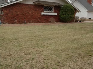 Bush Trimming by Chris Boaldin for Ary K. in Wichita, KS