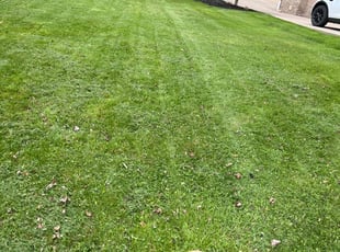 Char s.'s Lawn Mowing service result