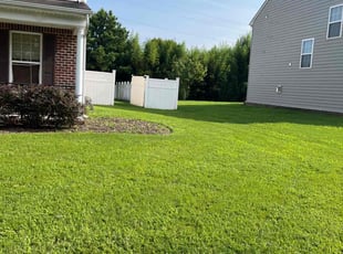 Island B.'s Lawn Service service result