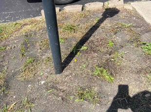 Weeding by Alisha Lawson for Jason C. in Hilliard, OH
