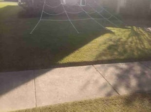 shawn y.'s Yard Cutting service result